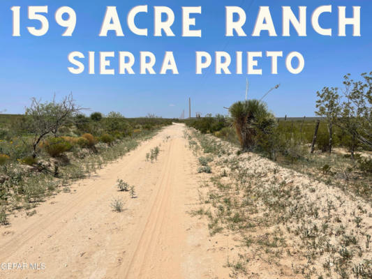 159 ACRES RANCH - SIERRA PRIETO, SIERRA BLANCA, TX 79851 - Image 1