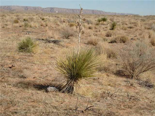 AB 6963 BLK 65 T8 SUR 30 ROAD, VAN HORN, TX 79855, photo 3 of 6