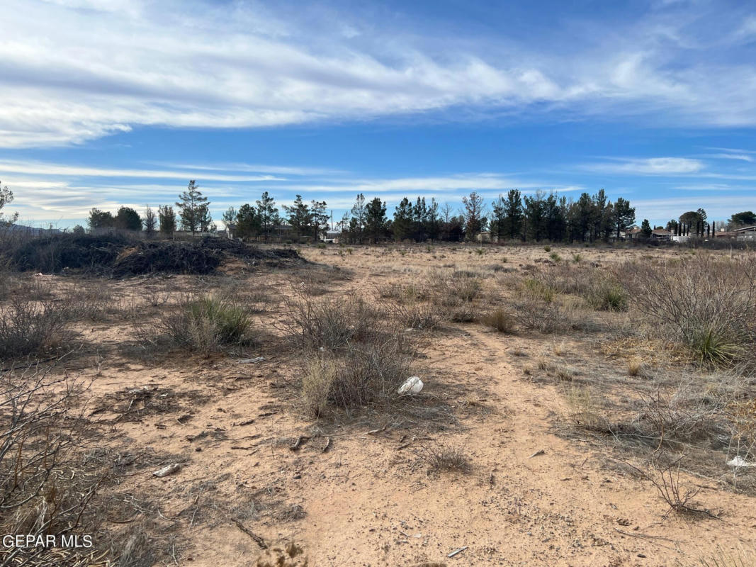 408 MCCOMBS RD, CHAPARRAL, NM 88081, photo 1 of 8