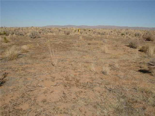 AB 6963 BLK 65 T8 SUR 30 ROAD, VAN HORN, TX 79855, photo 2 of 6